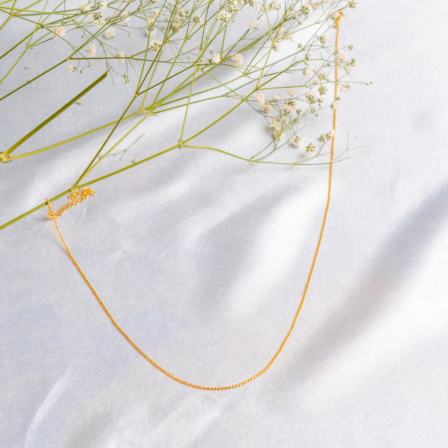 Revati Chain