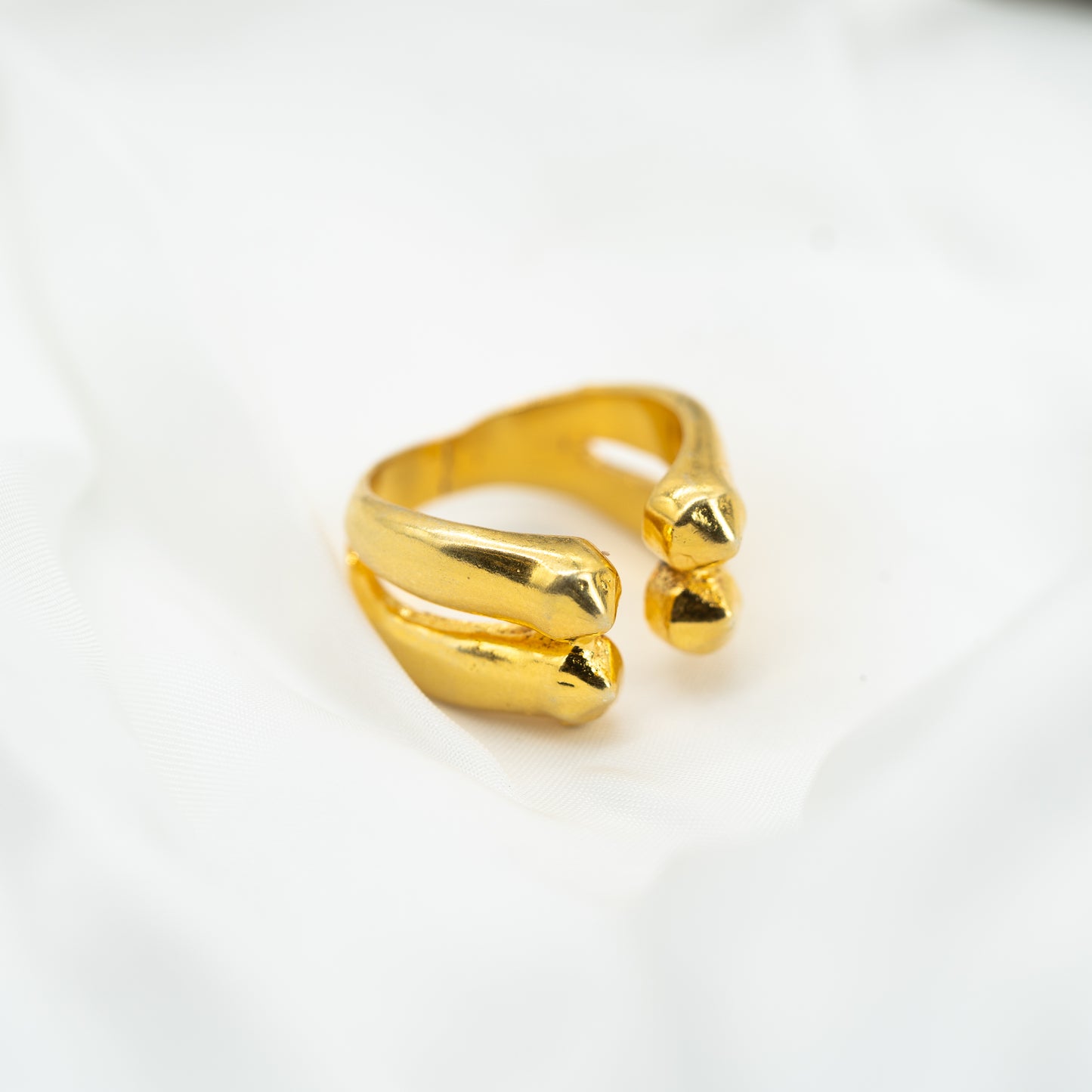 Saarthi Ring